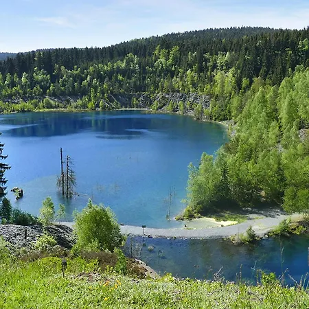 Zur Alten Brauerei, Free Wi-fi+parken, 3 Schlafzimmer, Grillecke 公寓 Lehesten